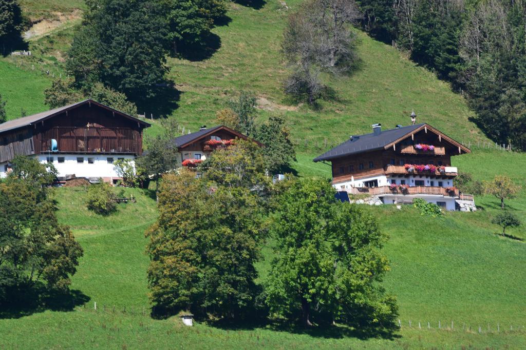 Bio-Bergbauernhof Hubgut Villa Цел ам Зее Екстериор снимка